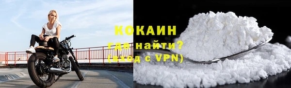 гидра Богородицк