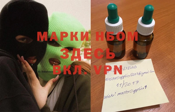 гидра Богородицк