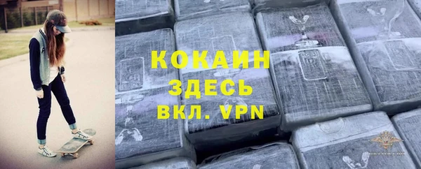 гидра Богородицк