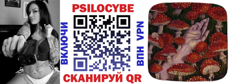 Галлюциногенные грибы Cubensis  купить закладку  ссылка на мегу сайт  Оха 